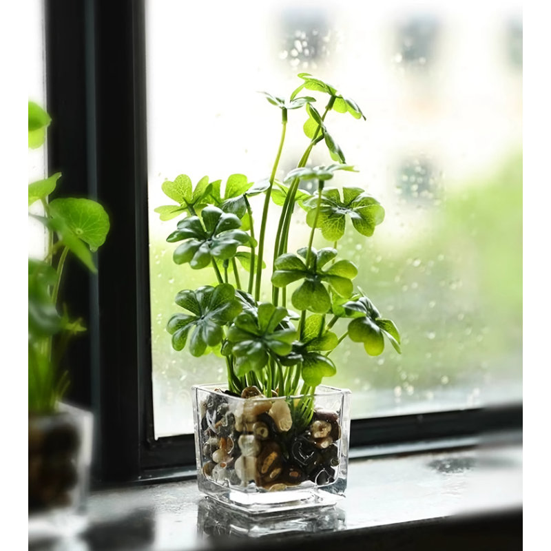 Simulation de décoration de plante verte Bonsai
