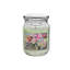 Pot de fleurs 18 oz avec couvercle en verre - ensemble de 2