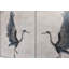 Heron 50'' W Sideboard