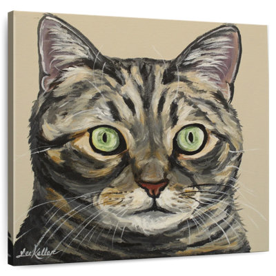 Cat Tabby Ontan