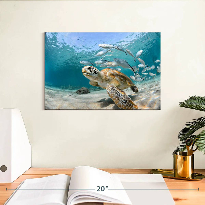 Banc de poissons et tortue