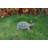 Turtle Statue