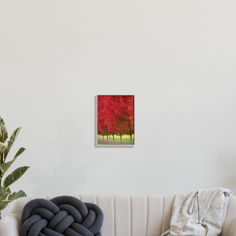 Autumn Foliage Red Leaf Trees Nature Scene Gray Framed Print