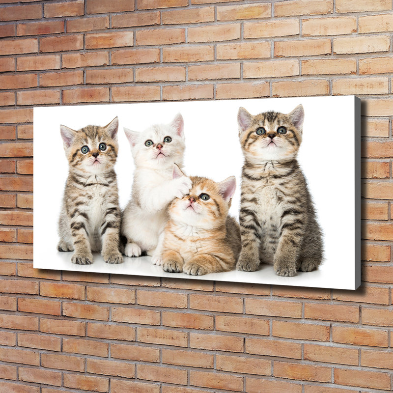 Small Cats - Wrapped Canvas Print