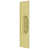 Polished Brass