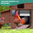 Automatic Chicken Coop Door With Timer & Light Sensor