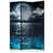 Moonlit Night - Blue