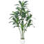 67cm Plant