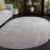 Bethlyn Creme/Gold Area Rug