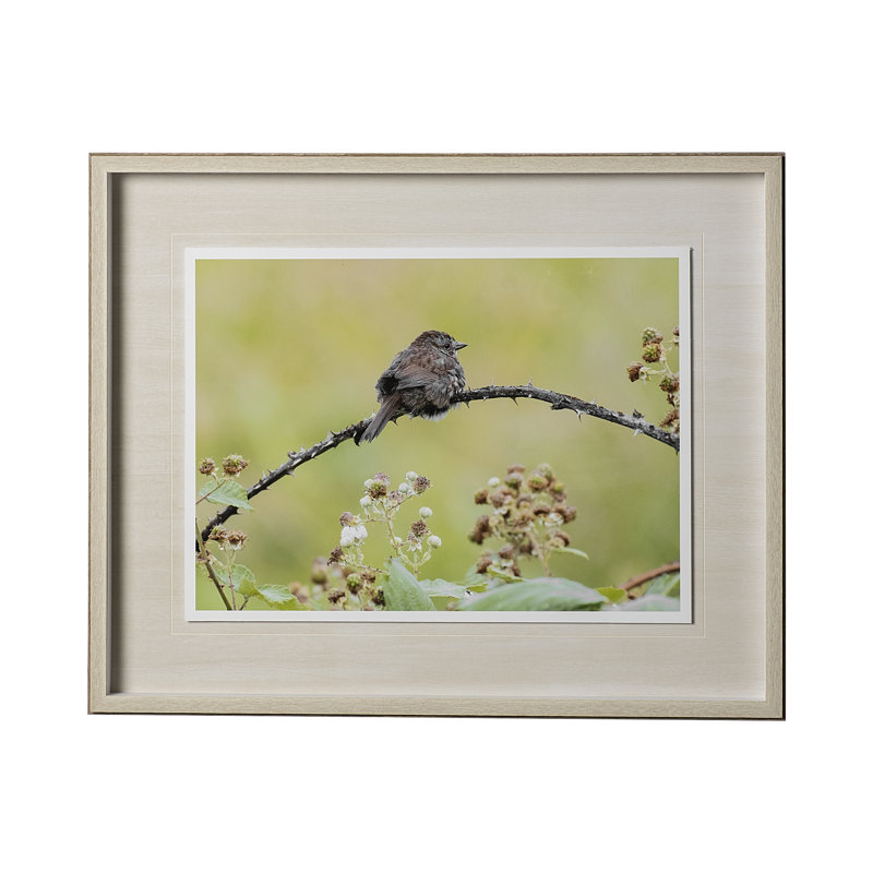 sans titre par Nancy Crowell, reproduction d'art encadrée sous verre, Avian I