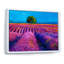 " Lavender Fields II "-859529706-859529702