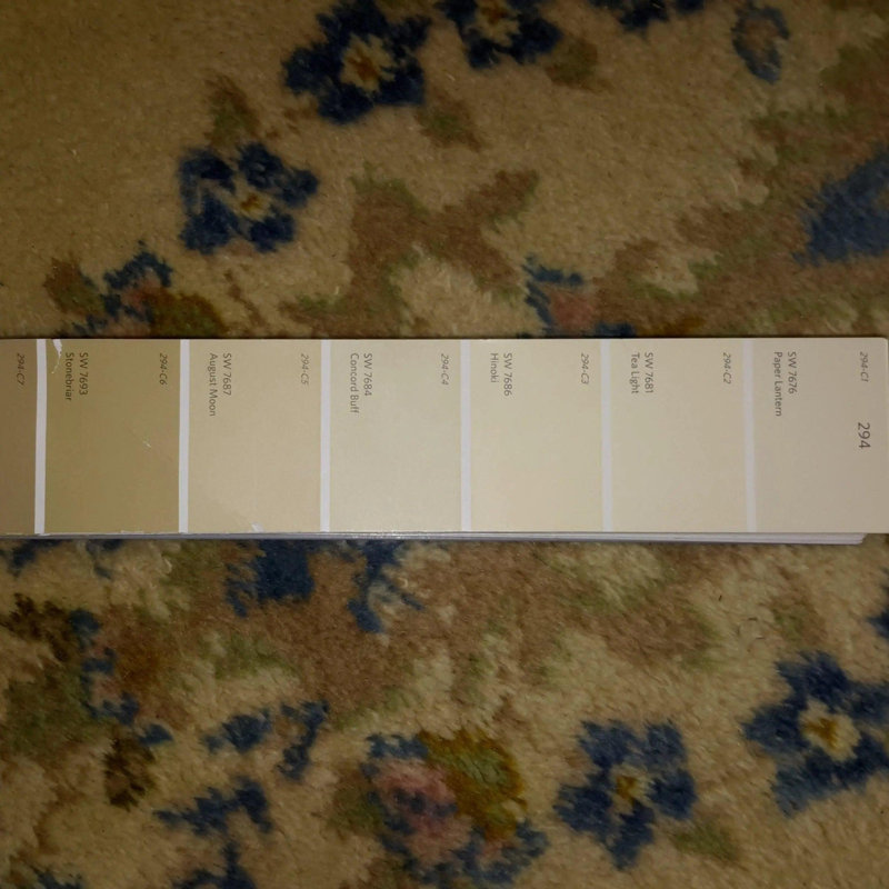 Oriental Area Rug in Beige
