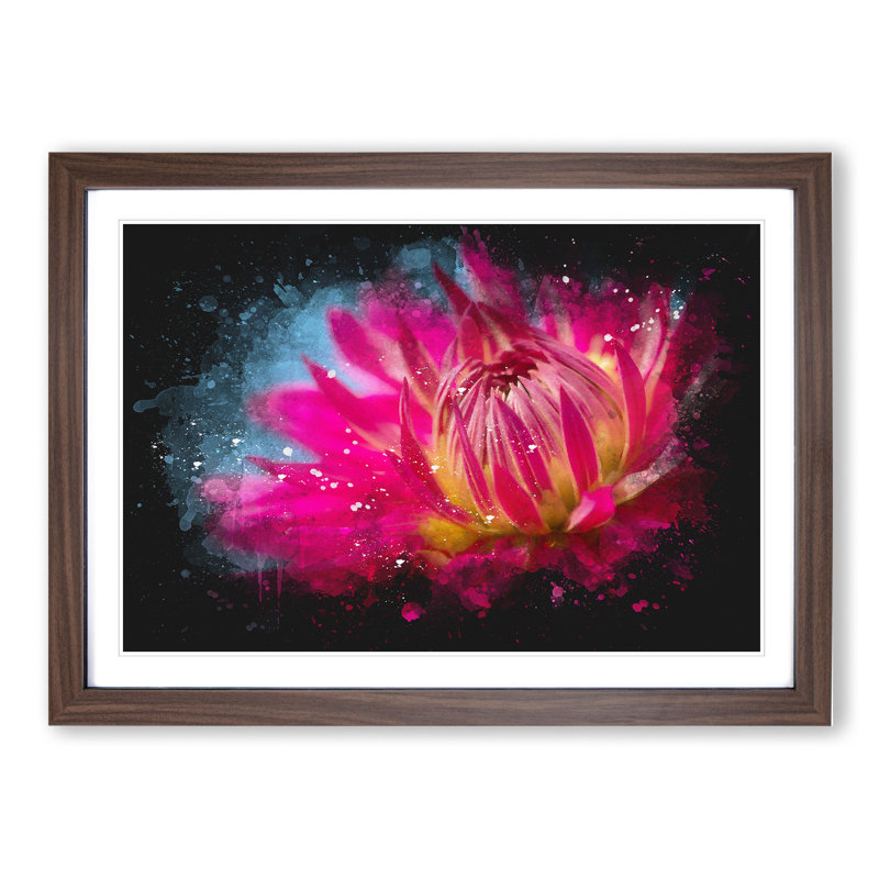 The Pink Flower - Framed Print, 48cm H x 65cm W x 2cm D, Walnut Framed