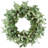 D24" Foliage/Cedar Wreath, Green