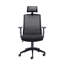 Hinton Polyester Blend Office Chair with Headrest