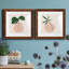 Simple Nature III - Ensemble de 2 peintures-332097884-332097882