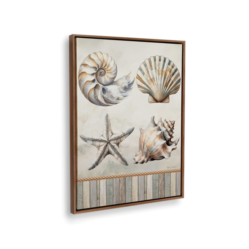 «Cape Cod Shores Seashells» par Nicole DeCamp, reproduction d'art, L 24 po x H 32 po, Brun, Toile avec cadre