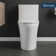 Water Saving 0.8/1.28 GPF Dual-Flush Elongated One-Piece Toilet with ADA Height, White