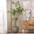 94.5'' Faux Eucalyptus Tree in Planter