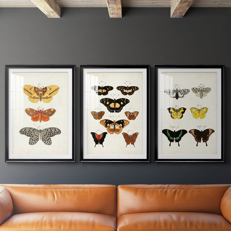 Papillons rétro IV - impression encadrée de qualité supérieure sur mesure mat - 3 pièces, H 15 po x l 19 po, Noir