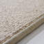 Jadyn Solid Colour Machine Woven Area Rug-461489191