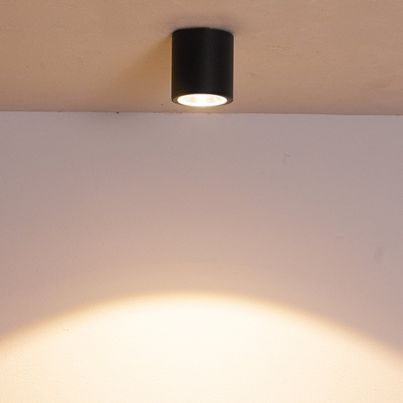 Sky Outdoor LED Flushmount Light, Black