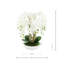 Orchid Arrangement in Round Fiberstone Pot-1233830117