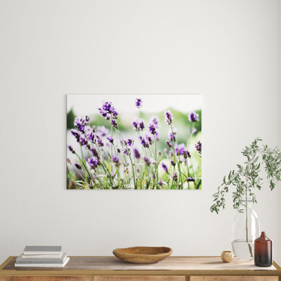 Flower Purple Lavender - Frameless Print