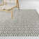 Saraphina Cream Transitional Area Rug