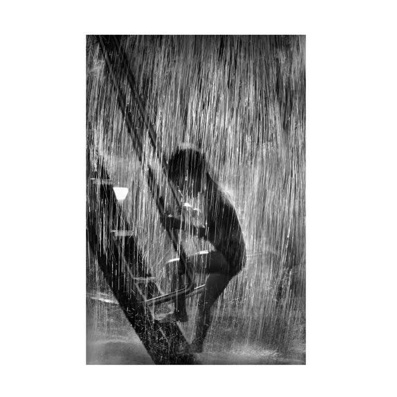 Cristian Andreescu Summer Rain Canvas Art, 24" H x 16" W