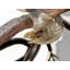 Bird Eagle Bronze Garden Statue