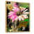 Cadre naturel flottant