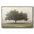 Walnut Framed Canvas