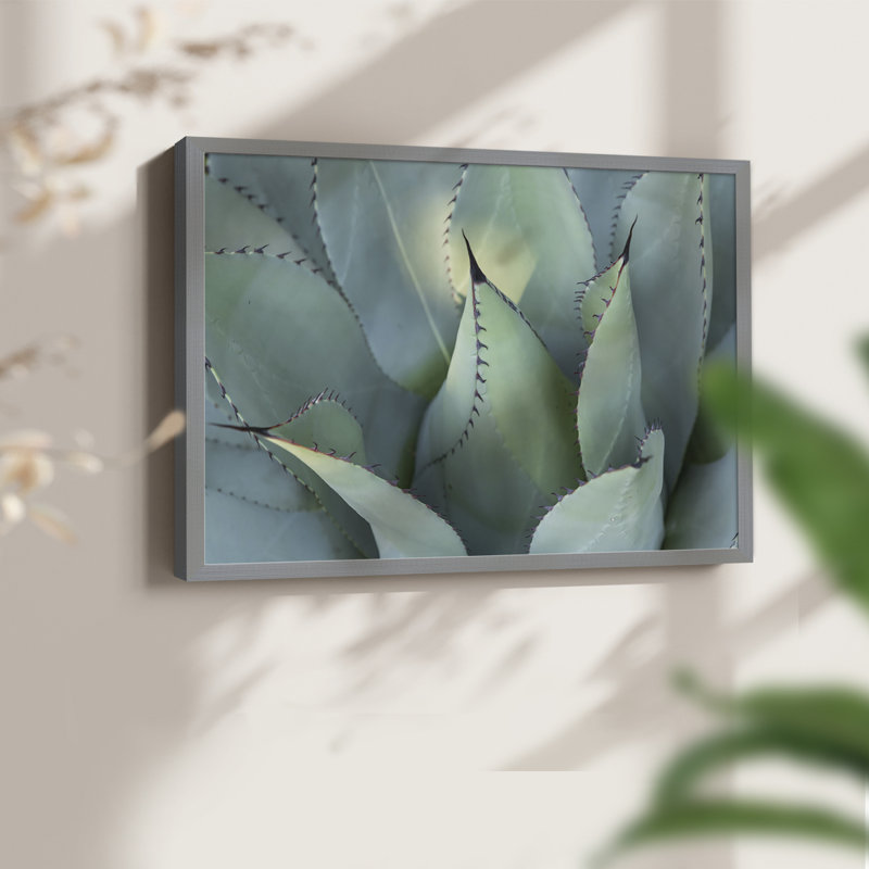 Blue Agave I -Framed Print - Restickable