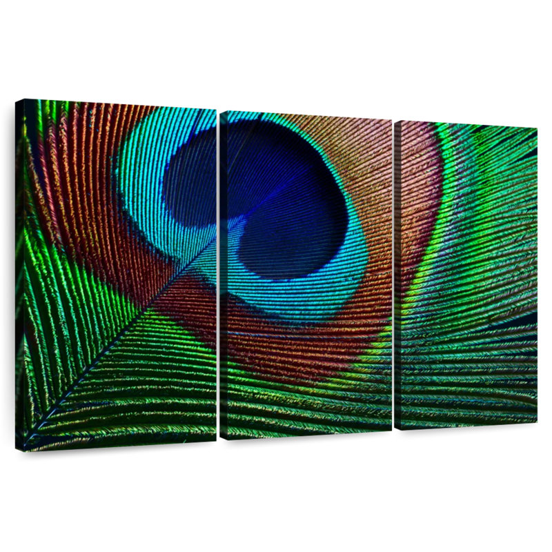 Brampt Fine Peacock Feather, 42" H x 65" W