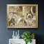 Antique Shell Anthology I - peinture sur toile encadrée-608262612-608262615