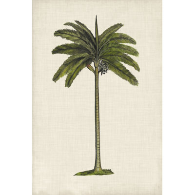UA CH British Palms IV by Naomi McCavitt - Wrapped Canvas Art Prints