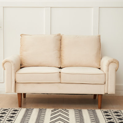 Honebein 55.9'' Velvet Loveseat