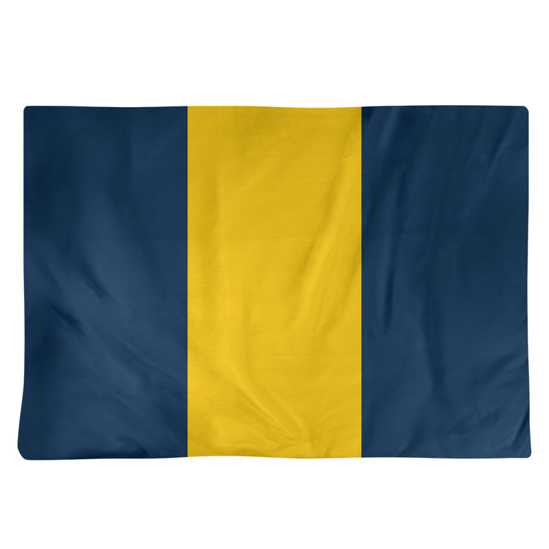 Récapitulatif de 18 po Michigan, Bleu / Jaune moyen, Sergé de coton