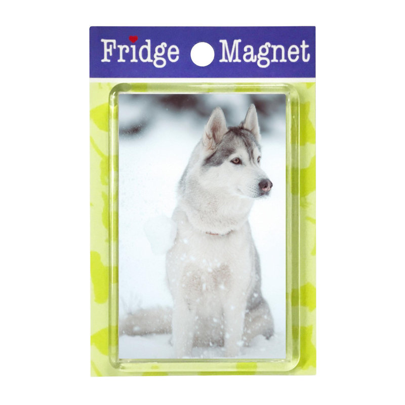 Fridge Magnet