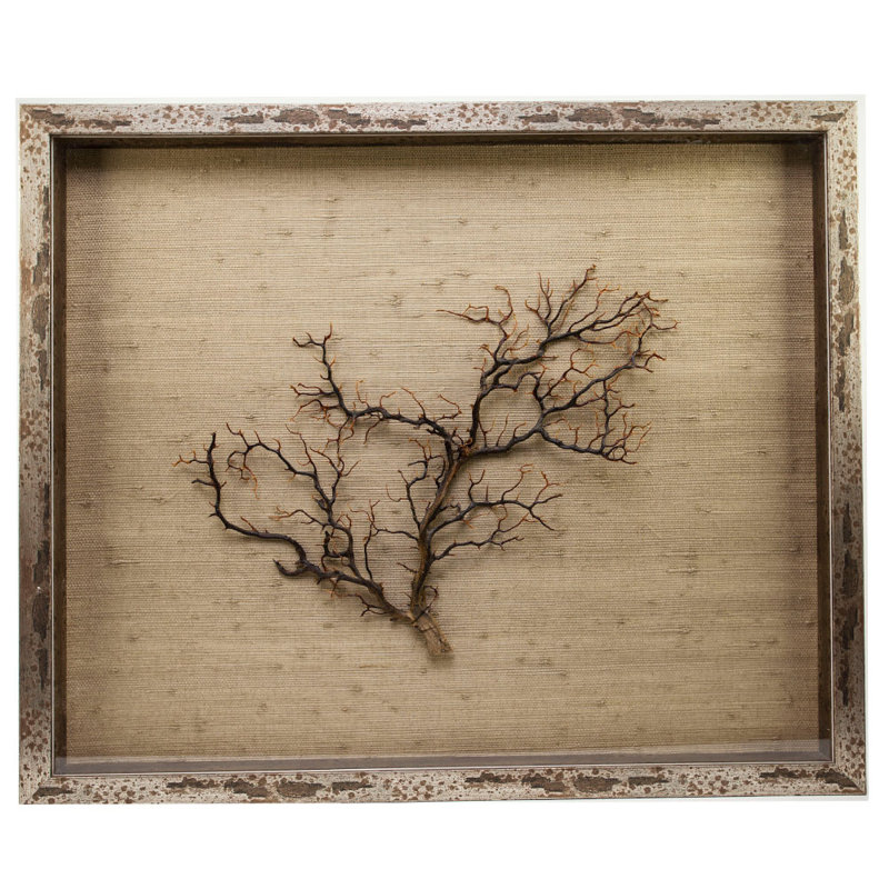 Sealife - Shadow Box Graphic Art