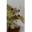 Faux Fig Fruit Branch 37"