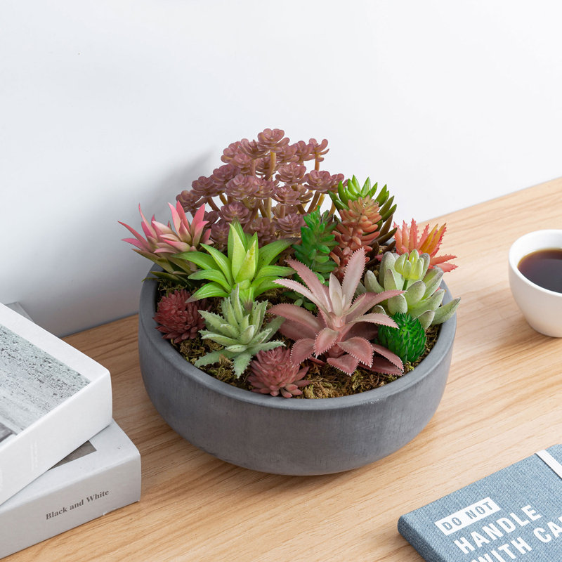 Pot Planter