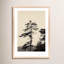 Serenity Print by Peter Dušek-560221194-560221191