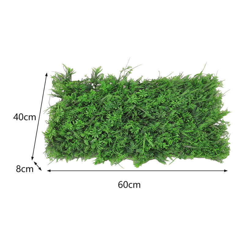 Plant, Green