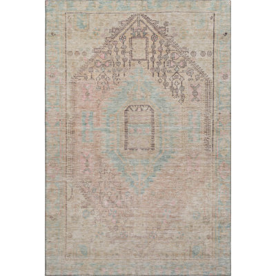 Premium Machine Washable Ducote AMF1134 Global Rug