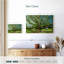 Vieil arbre Harnek-107677409