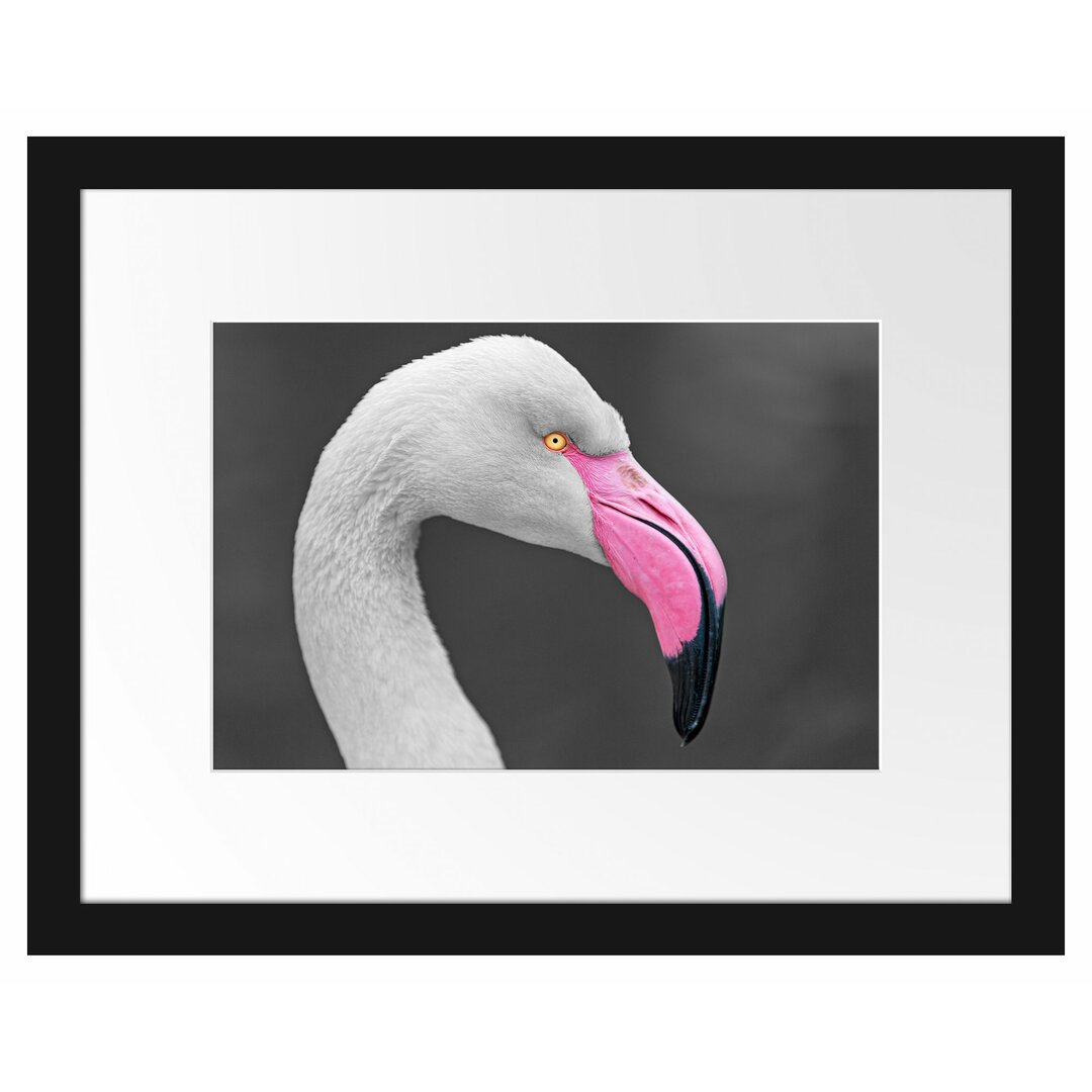 Gerahmtes Poster Flamingo im Seitenprofil