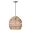 Luminaire suspendu 15,5 po Ames