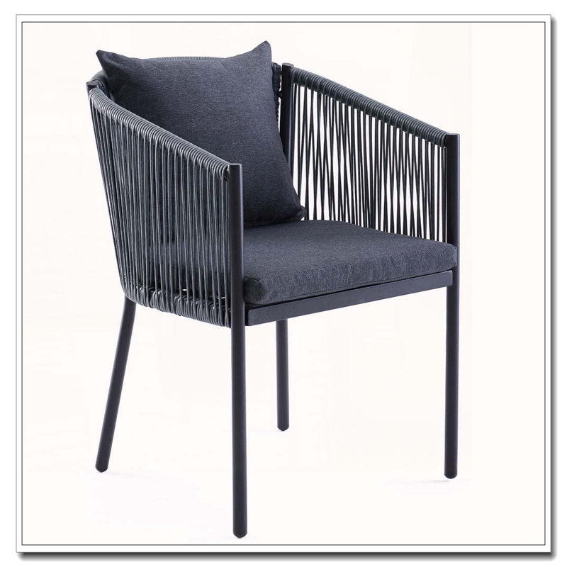 Ensemble de 2 chaises d'extérieur en osier de rotin avec coussins et structure en métal avec revêtement en E